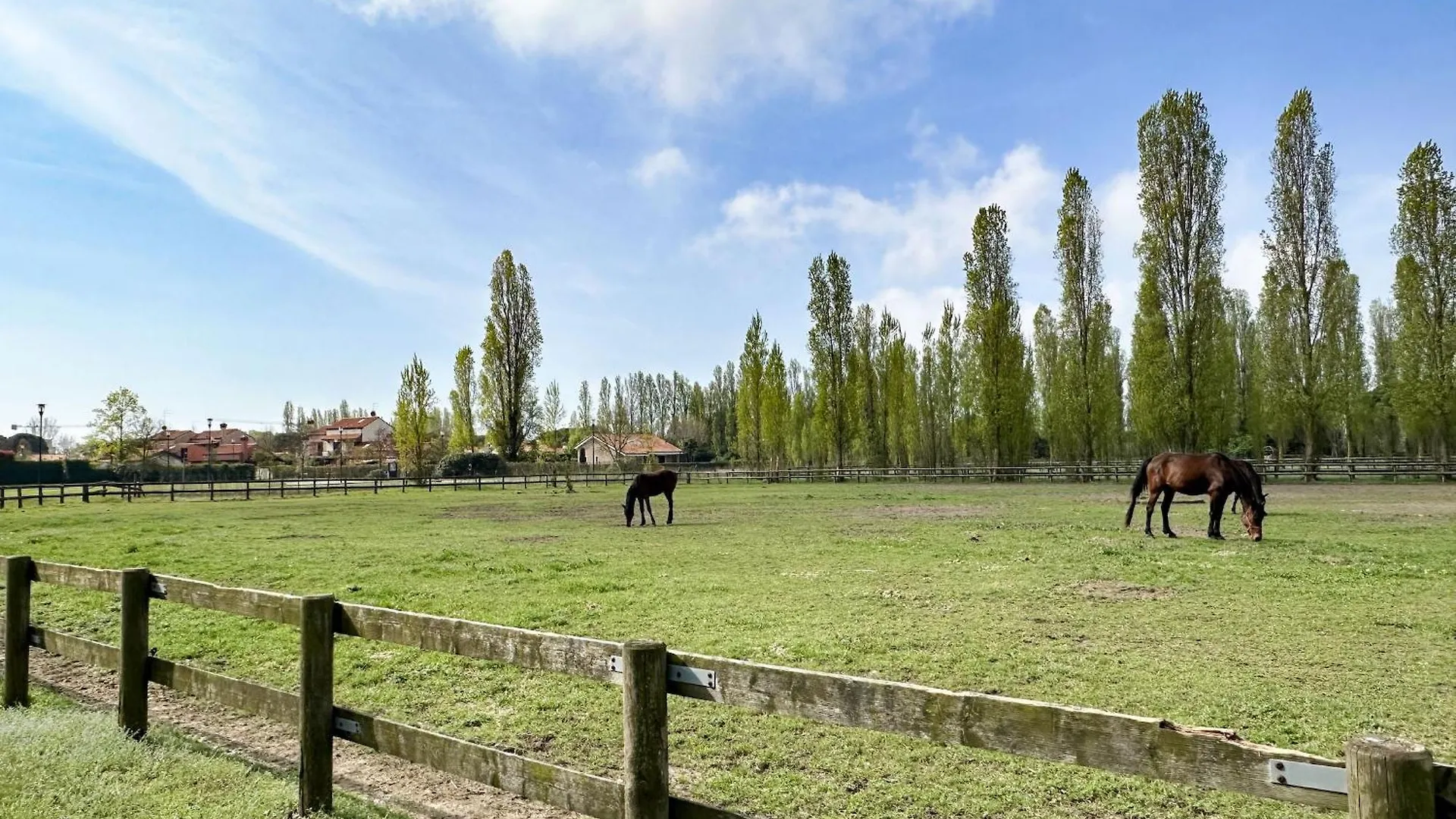 Apartamento Airone Mare-Equilio Park- Piscina, Oasi Natura Lido di Jesolo 0*,  Italia